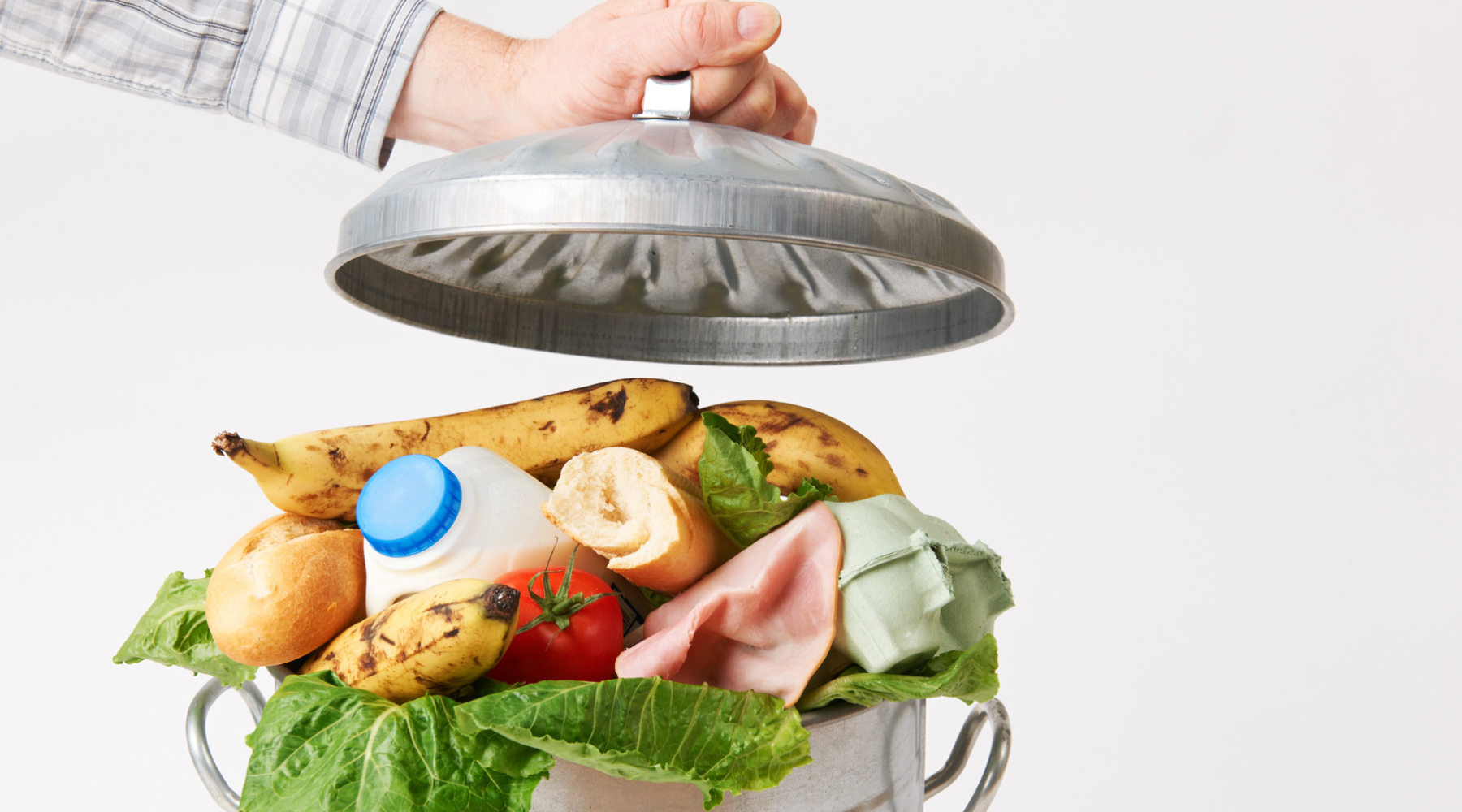 How FoodArmour Helps Reduce Food Waste at Home