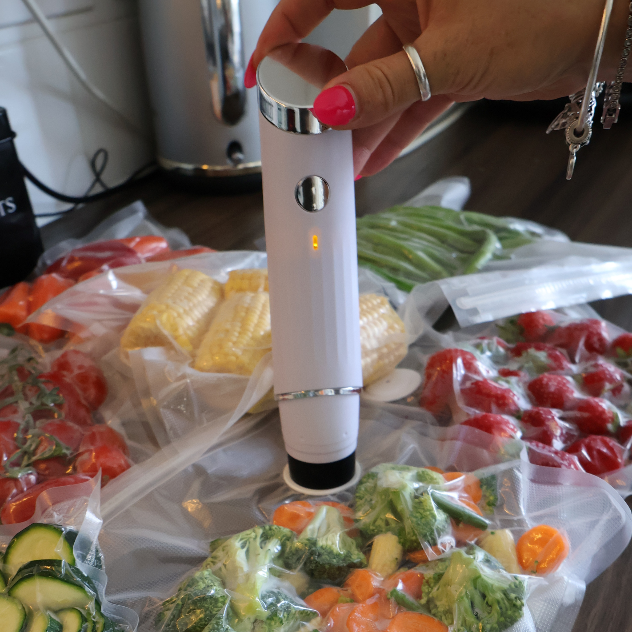 FoodArmour Portable Vacuum Sealer